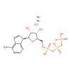 Adenosine 5′-triphosphate disodium salt hydrate