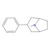 8-Azabicyclo[3.2.1]octane， 8-methyl-3-phenyl-