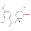 Altenuene