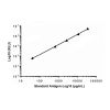 Recombinant Troponin I/TNNI3 Antibody