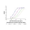 Goat Anti-Mouse IgG H&L (Biotin)