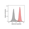 Recombinant CD20 Antibody (PerCP)