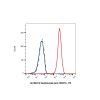 Sacituzumab (anti-TROP2)