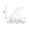 Goat Anti-Chicken IgY H&L (Biotin)