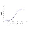 Human IgG - Isotype Control Antibody  ＞95% by