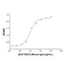 Mouse IgG - Isotype Control Antibody >95% by Aladdin Scientific