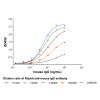 Rabbit Anti-Mouse IgG antibody - by