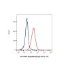 Mupadolimab (anti-CD73), Antibody of Ecto-5'-Nucleotidase