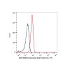 Emicizumab (anti-Factor IX), Antibody of coagulation factor IX;Antibody of coagulation factor X