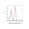 Teprotumumab (anti-IGF1R), ANTAGONIST of Insulin-like growth factor I receptor antagonist
