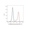 Denintuzumab (anti-CD19), BINDING AGENT of B-lymphocyte antigen CD19 binding agent
