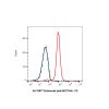 Enfortumab (anti-NECTIN4)