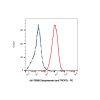 Datopotamab (anti-TROP2)