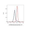 Gemtuzumab (anti-CD33), BINDING AGENT of Myeloid cell surface antigen CD33 binding agent