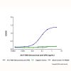 Glenzocimab (anti-GP6), INHIBITOR of Platelet glycoprotein VI (GPVI) inhibitor