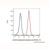 Datopotamab deruxtecan (anti-TROP2)