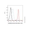 Recombinant CD42b Antibody - by