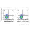 Mouse Anti-Human IgG (PerCP-Cy5.5)