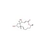 Brefeldin A - ≥98%(HPLC), from Penicillium brefeldianum, CAS No. 20350-15-6 by