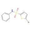 5-bromo-N-phenylthiophene-2-sulfonamide