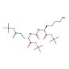 1,5-Bis(1,1-dimethylethyl) N-((((1S)-5-amino-1-((1,1-dimethylethoxy)carbonyl)pentyl)amino)carbonyl)-L-glutamate