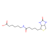 N-(+)-Biotinyl-6-aminohexanoic acid