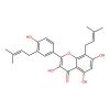 Broussoflavonol F