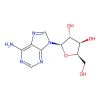 9-Beta-D-Xylofuranosyl-Adenine