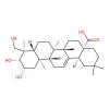 bayogenin