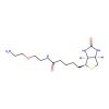 Biotin-PEG1-NH2