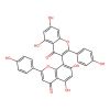 3,8'-Biapigenin
