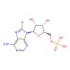 8-Bromoadenosine 5'-monophosphate