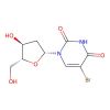 5-Bromo-2′-deoxyuridine(BrdU)