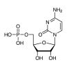 Cytidine 5'-monophosphate(5′-CMP)