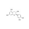 (+)-Catechin