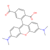 6-Carboxytetramethylrhodamine