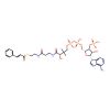 Cinnamoyl-coa