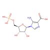 Carboxyaminoimidazole ribotide