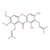 Cowaxanthone B