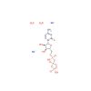 Cytidine-5'-triphosphate disodium salt dihydrate - ≥95%, CAS No. 81012-87-5 by