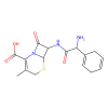 Cephradine