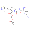 Cefditoren Pivoxil, Bacterial penicillin-binding protein inhibitor