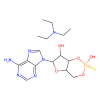cAMPS-Rp, triethylammonium salt