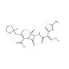 Cefepime(BMY-28142)