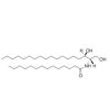 C14 Dihydroceramide - ≥95% CAS No(61389-70-6) by Aladdin Scientific