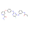 CNX-774, Inhibitor of Bruton tyrosine kinase