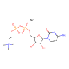 Citicoline sodium salt hydrate