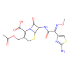 Cefotaxime acid