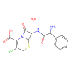 Cefaclor, Bacterial penicillin-binding protein inhibitor