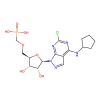 CD73-IN-4